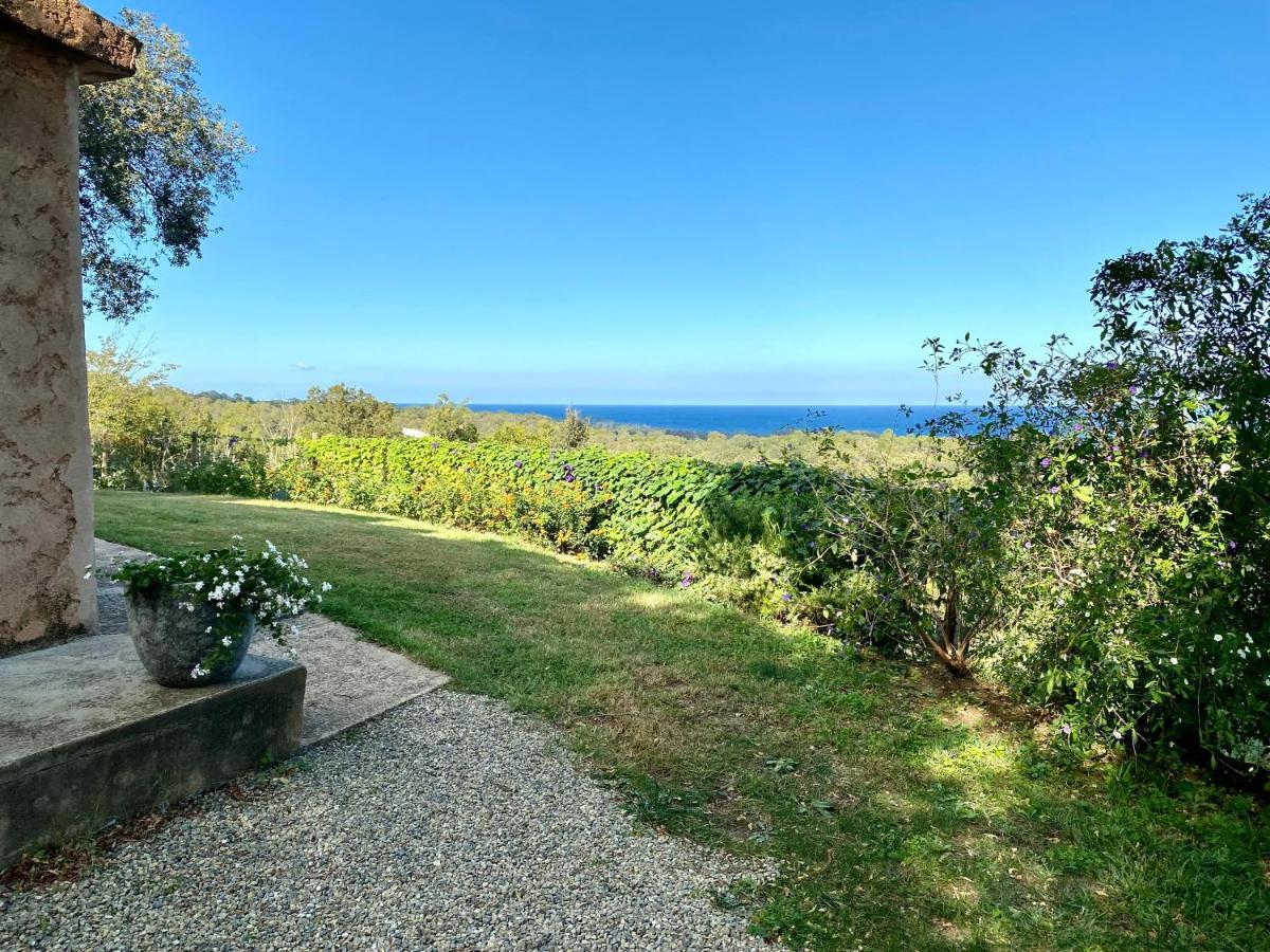 Domaine Punta Della Guardia Villa Panorama Maquis Et Mer, Plage A 1,5 Km Червйоне Екстер'єр фото