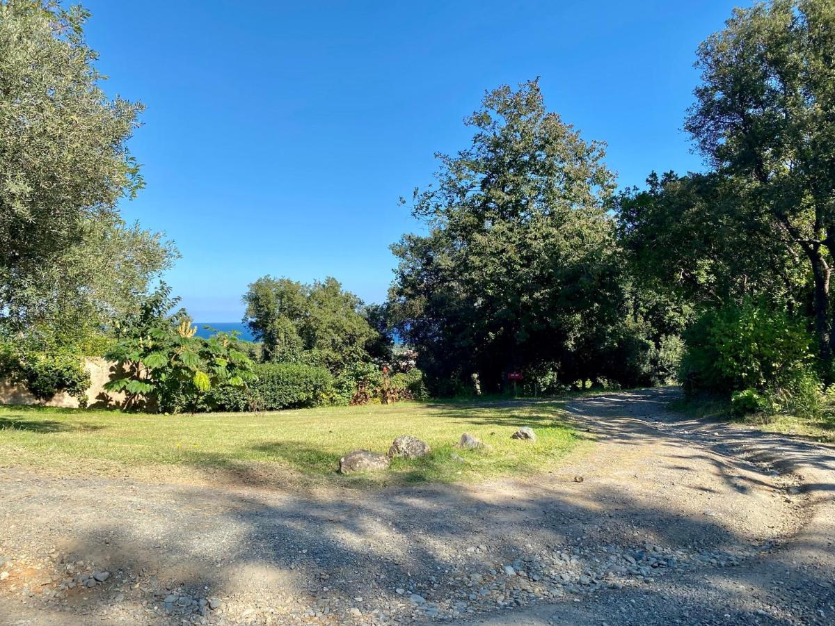Domaine Punta Della Guardia Villa Panorama Maquis Et Mer, Plage A 1,5 Km Червйоне Екстер'єр фото